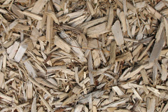 biomass boilers Nut Grove